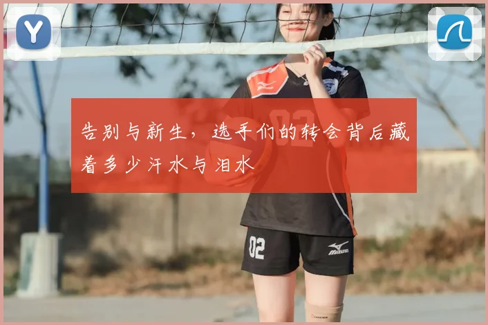 告别与新生，选手们的转会背后藏着多少汗水与泪水