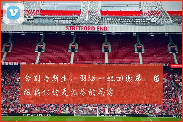 告别与新生，羽坛一姐的谢幕，留给我们的是无尽的思念